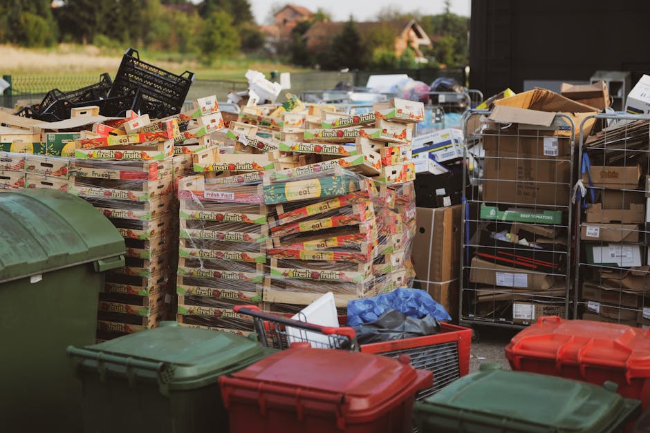 https://wasteremovalenfield.co.uk/blog/what-to-know-about-delays-in-enfield-rubbish-collection/